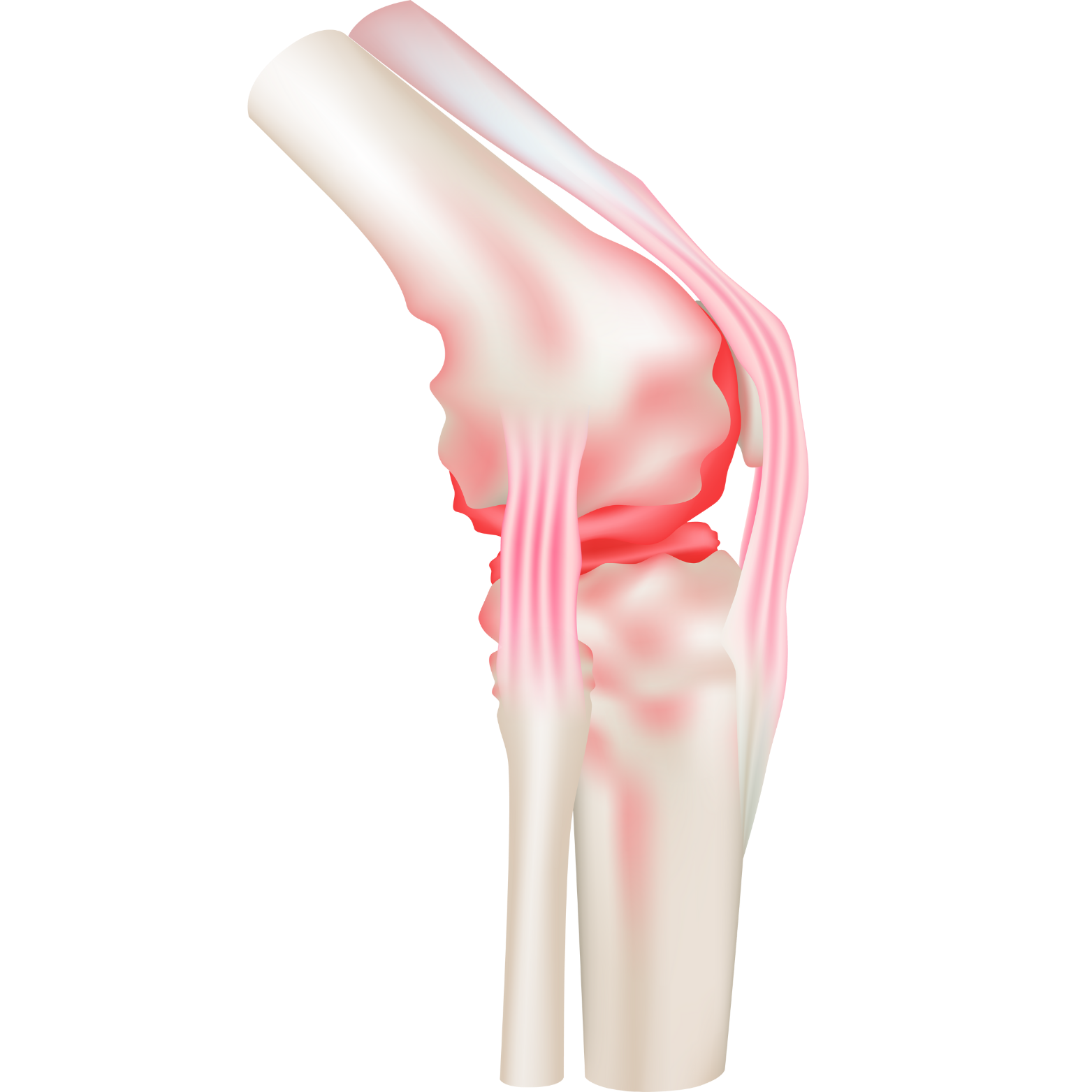 a close-up of a knee joint